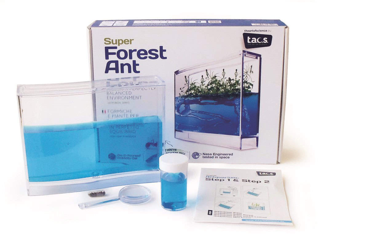 Super Mierenwoud - Afbeelding 2