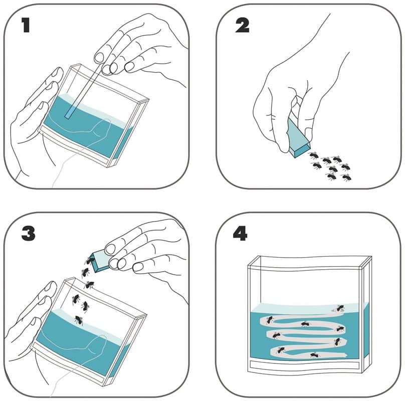 Super Mierenwoud - Afbeelding 3