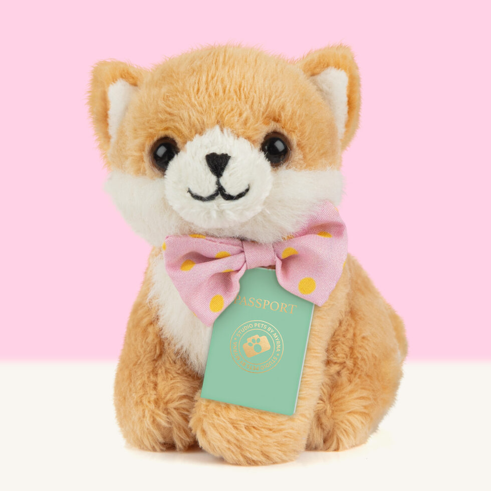 Studio Pets | Mini PomPom - Pomeriaan - Afbeelding 4