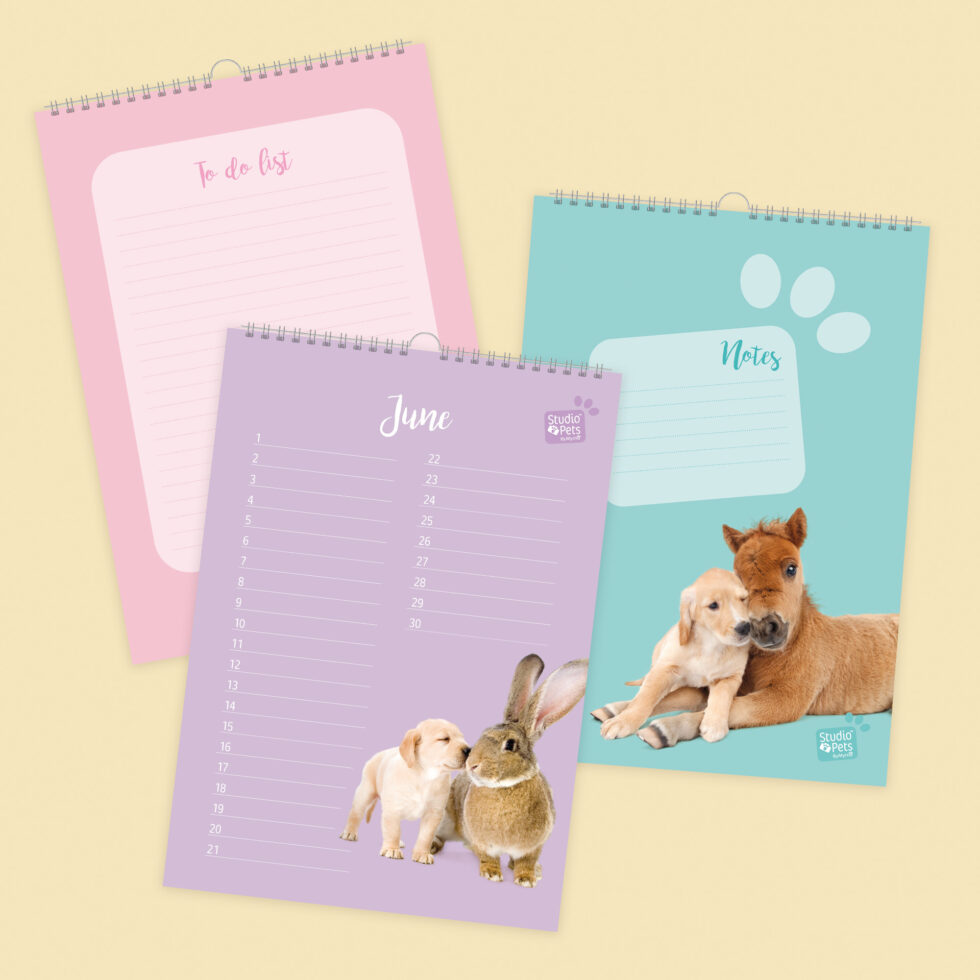 Studio Pets | Verjaardagskalender - Baby Dieren Vriendjes - Afbeelding 2