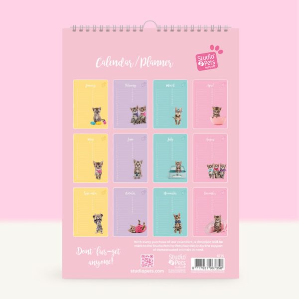Studio Pets | Verjaardagskalender - Bengaal Kitten - Afbeelding 3