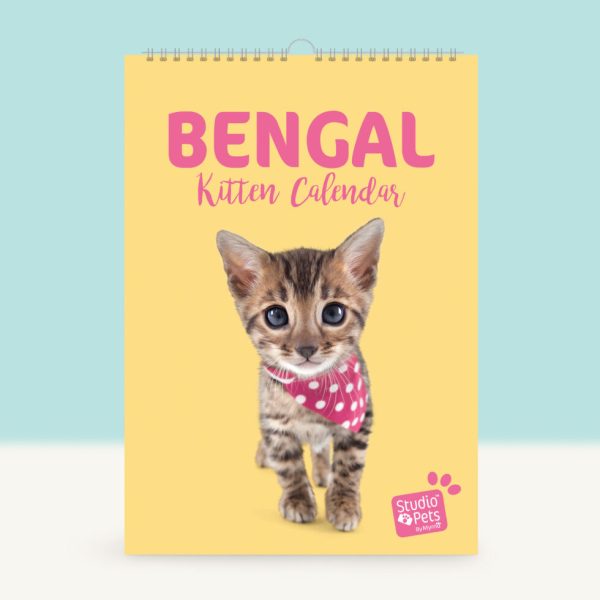 Studio Pets | Verjaardagskalender - Bengaal Kitten