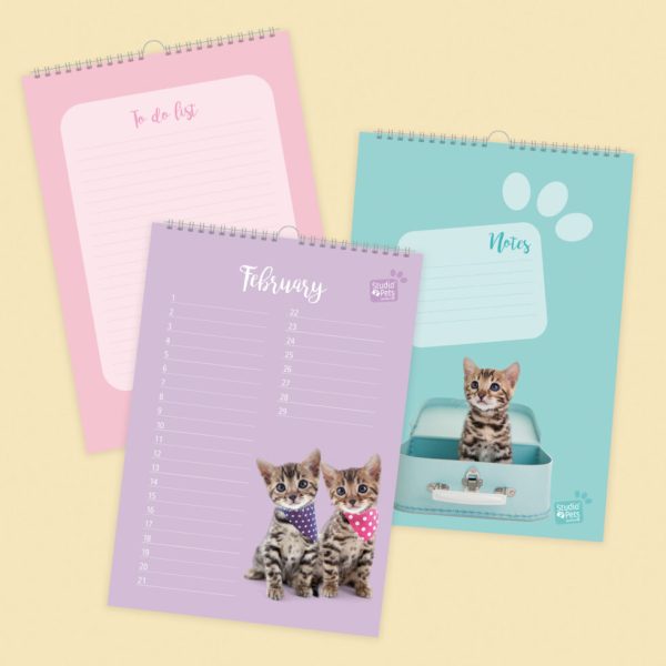 Studio Pets | Verjaardagskalender - Bengaal Kitten - Afbeelding 2