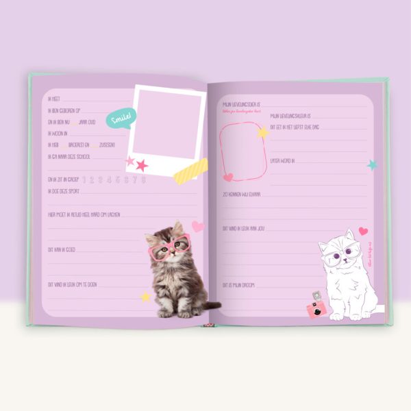Studio Pets |  Vriendenboek Ragdoll Mousie en Britse Langhaar Missy - Afbeelding 5