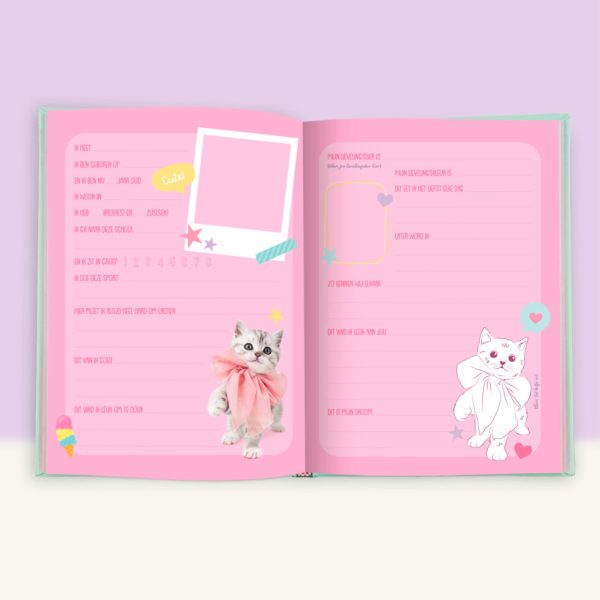 Studio Pets |  Vriendenboek Ragdoll Mousie en Britse Langhaar Missy - Afbeelding 4