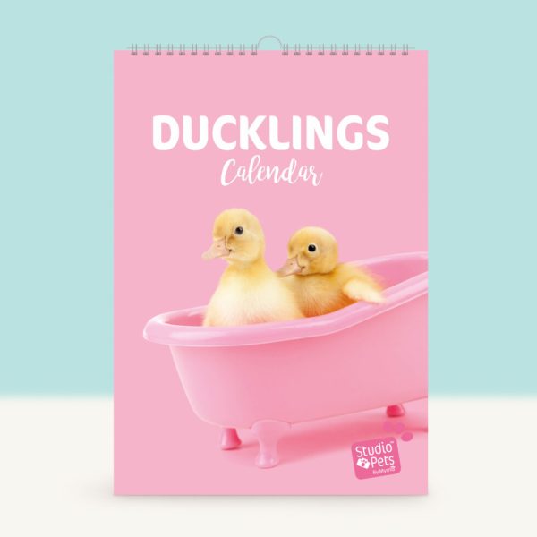 Studio Pets | Verjaardagskalender - Baby Eendjes