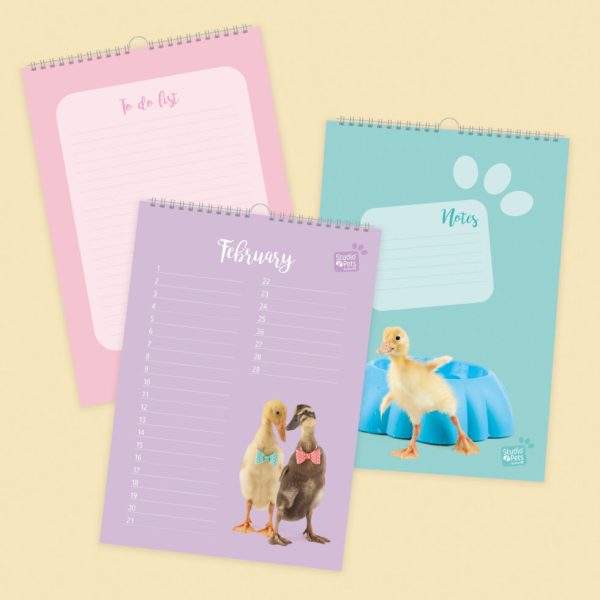 Studio Pets | Verjaardagskalender - Baby Eendjes - Afbeelding 2