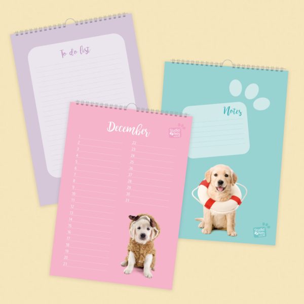Studio Pets |  Verjaardagskalender - Golden Retriever Puppy - Afbeelding 2