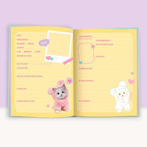 Studio Pets |  Vriendenboek Ragdoll Mousie en Britse Langhaar Missy - Afbeelding 2