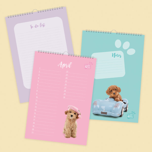 Studio Pets | Verjaardagskalender - Toy Poedel Puppy - Afbeelding 2