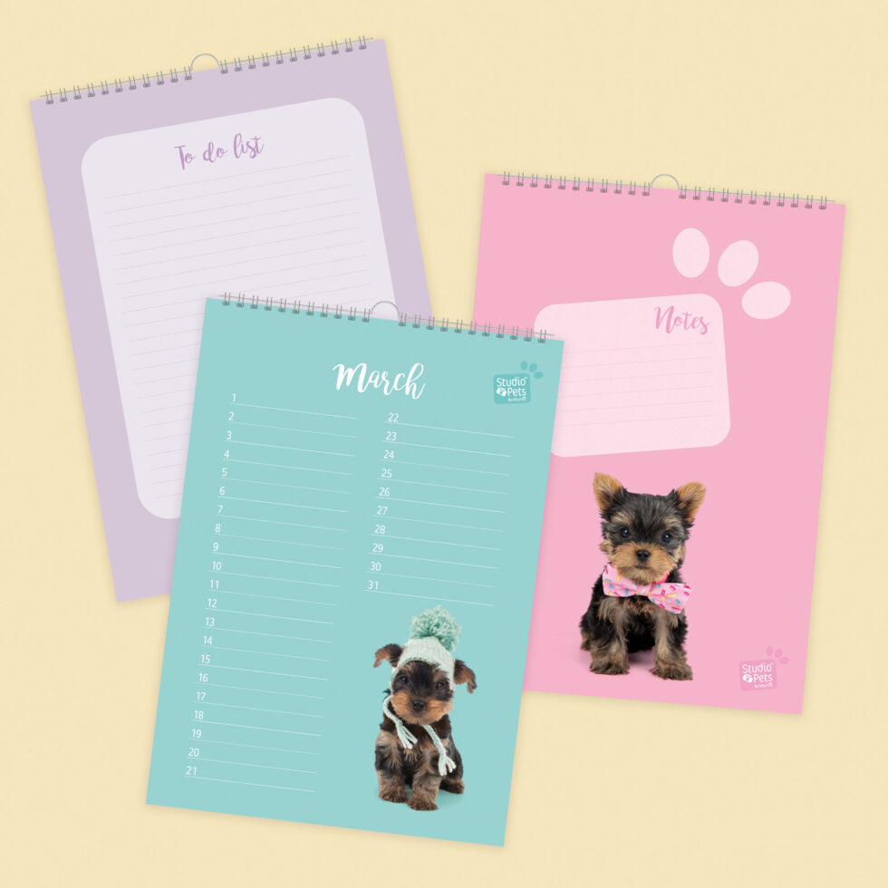 Studio Pets | Verjaardagskalender - Yorkshire Terrier Puppy - Afbeelding 2