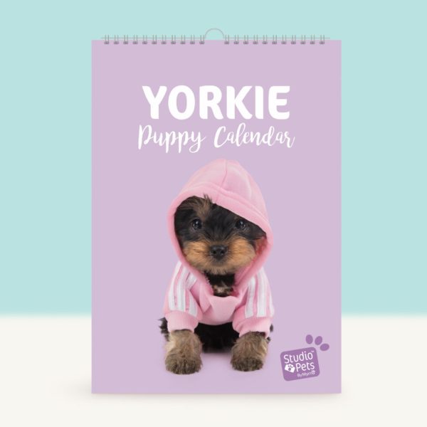 Studio Pets | Verjaardagskalender - Yorkshire Terrier Puppy