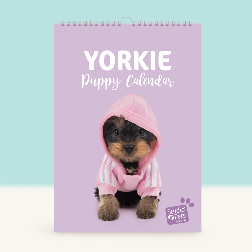 Studio Pets | Verjaardagskalender - Yorkshire Terrier Puppy