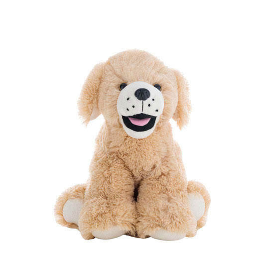 Teddy Mountain | 'Goldie' The Retriever