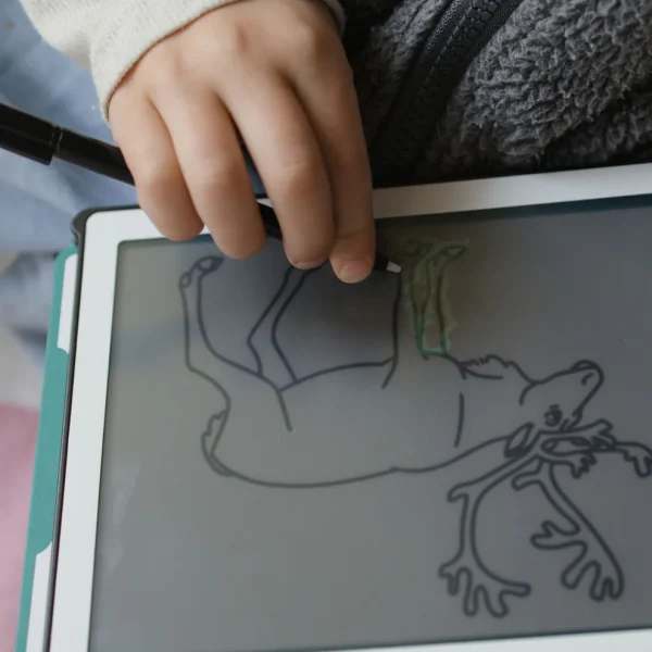 Kidywolf | Kidydraw Mini - Dieren over de hele wereld - Afbeelding 11