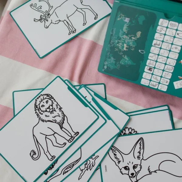 Kidywolf | Kidydraw Mini - Dieren over de hele wereld - Afbeelding 8