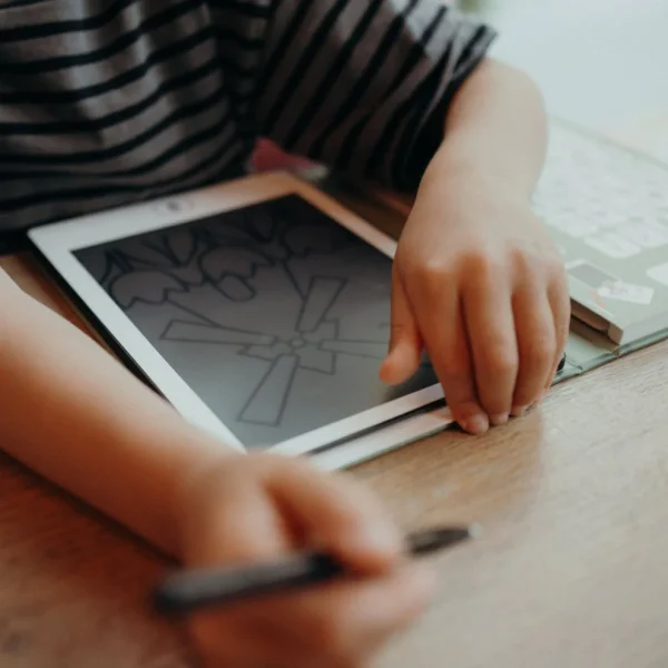 Kidywolf | Kidydraw Mini - Dieren over de hele wereld - Afbeelding 18