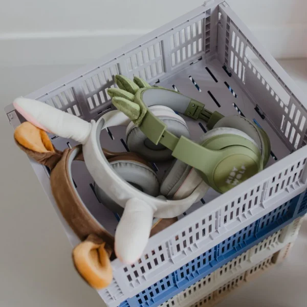 Kidywolf | Kidyears - Dinosaurus - Afbeelding 13