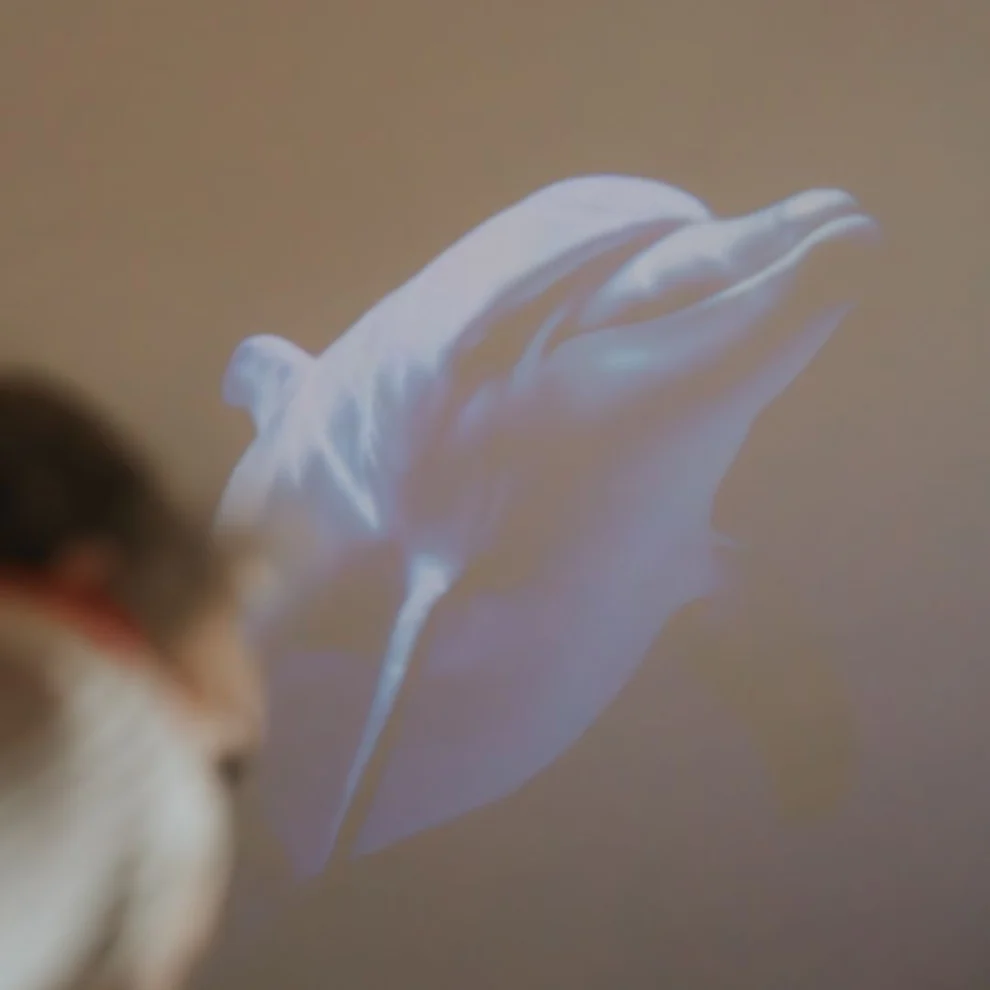 Kidywolf | Kidystar - Oceanen en zeeën - Afbeelding 7