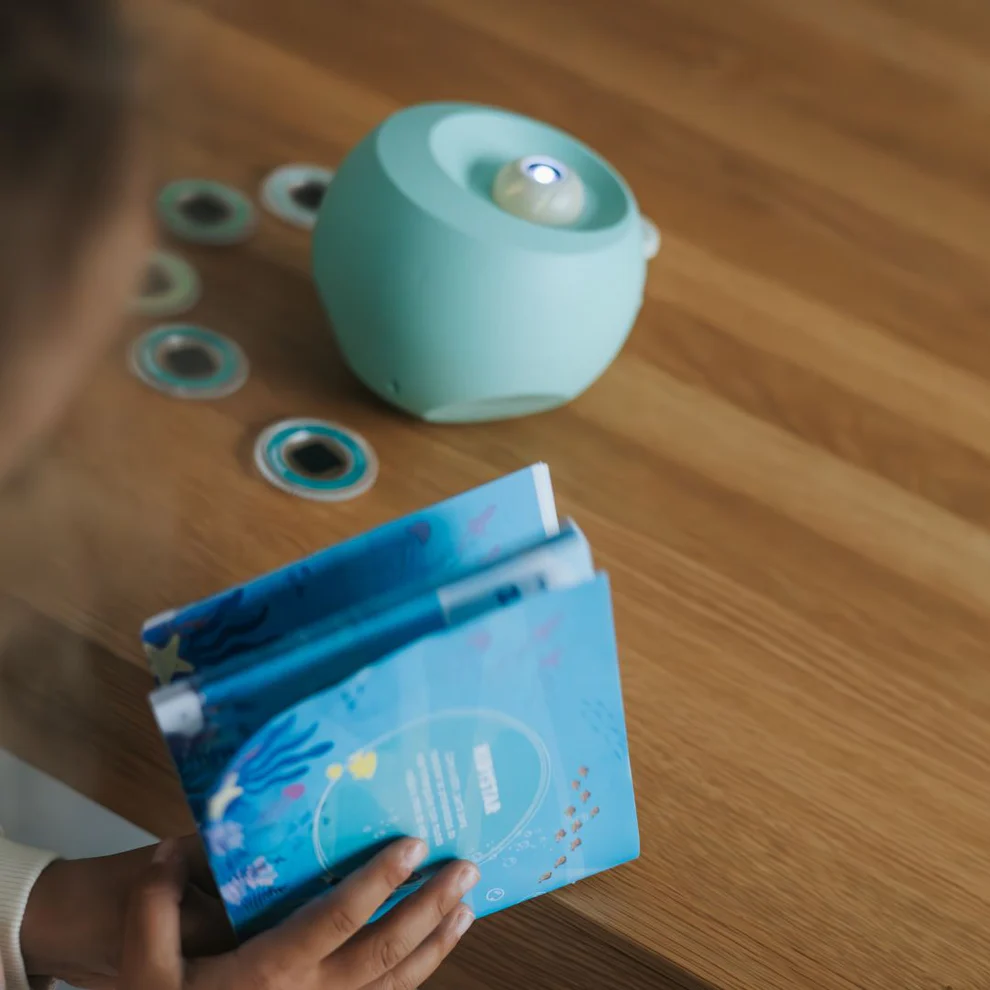 Kidywolf | Kidystar - Oceanen en zeeën - Afbeelding 12