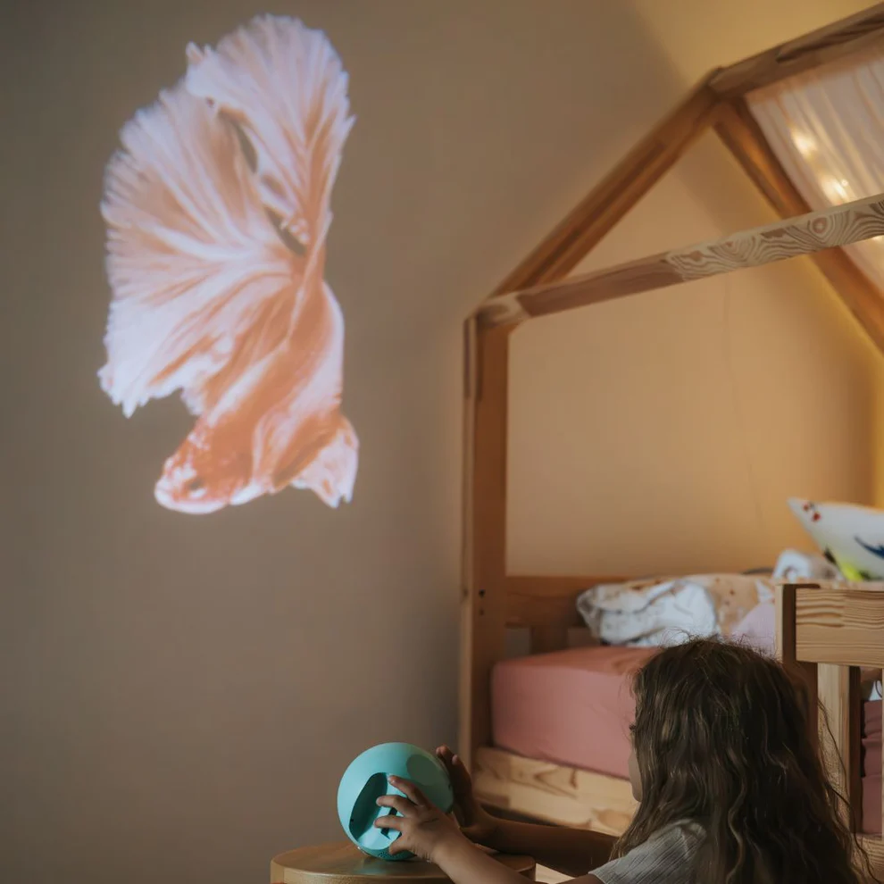 Kidywolf | Kidystar - Oceanen en zeeën - Afbeelding 2