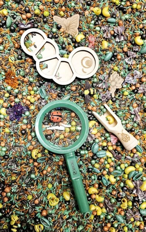 SensoryFun | Pour And Play - Insecten - Afbeelding 2