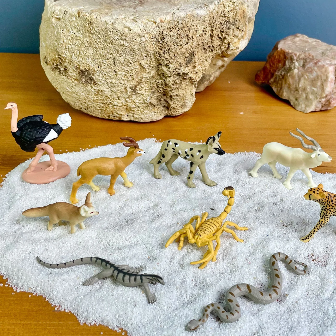 TOOB® | Dieren uit de Sahara - Afbeelding 5