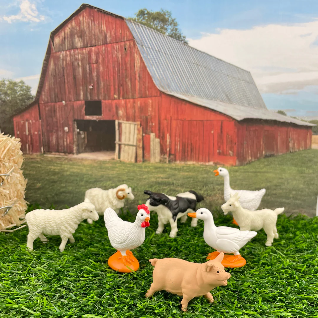 TOOB® | Boerderij - Afbeelding 4