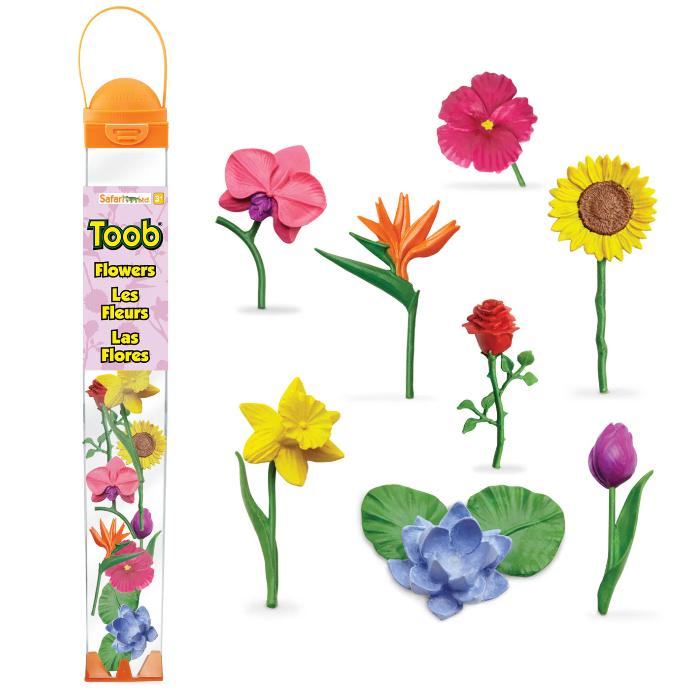 TOOB® | Bloemen