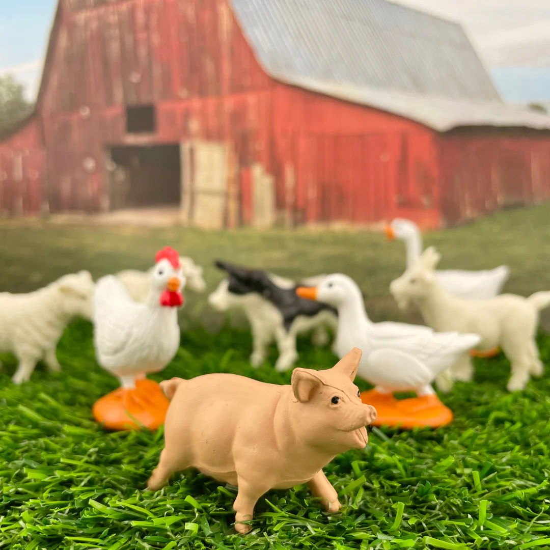 TOOB® | Boerderij - Afbeelding 8