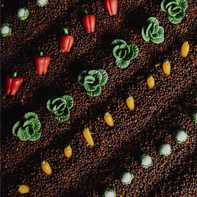 Petit Boum | Sensorische fles Learn - Veggies - Afbeelding 2