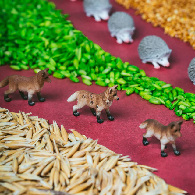 Petit Boum | Sensorische fles Spy - Forest - Afbeelding 2