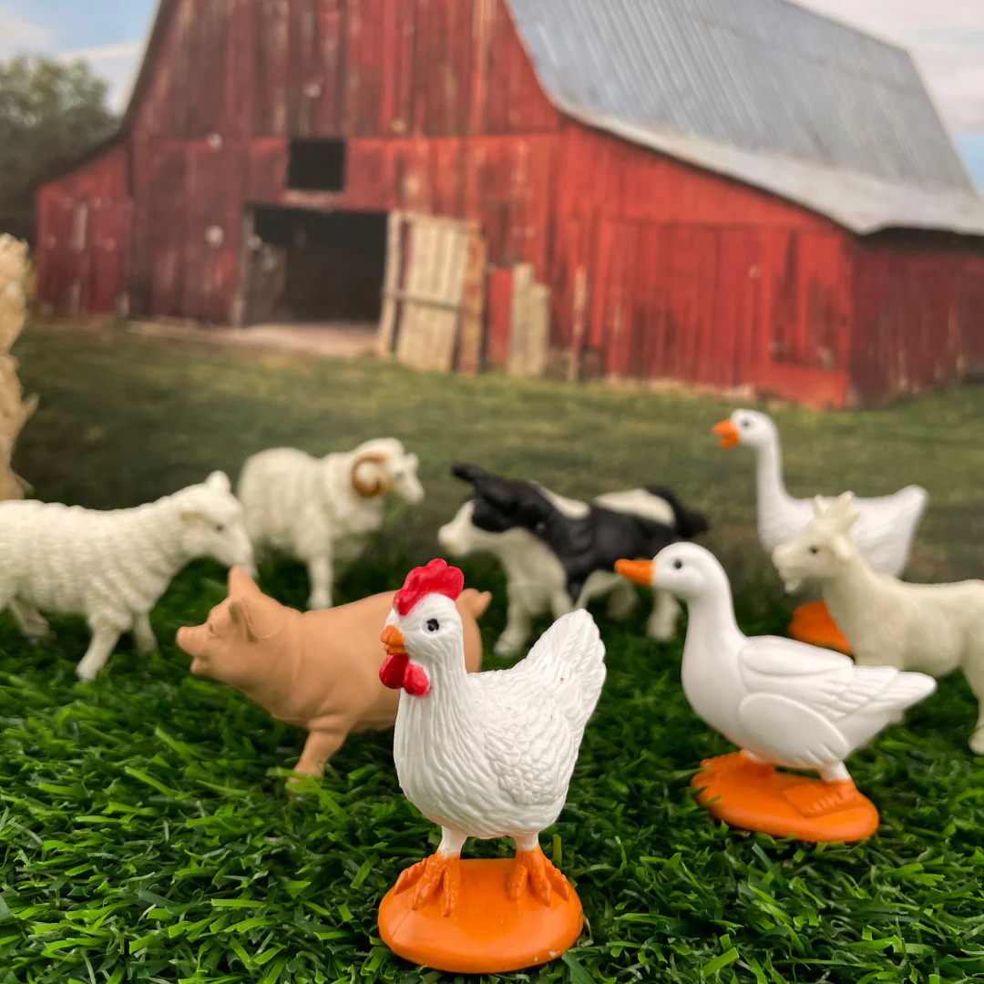 TOOB® | Boerderij - Afbeelding 5