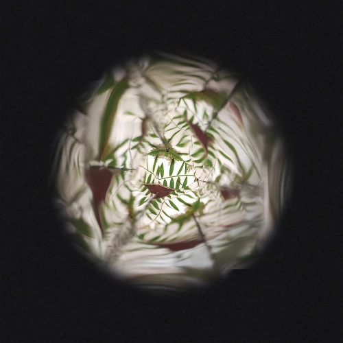 Janod | Bloem Kaleidoscoop - Afbeelding 9