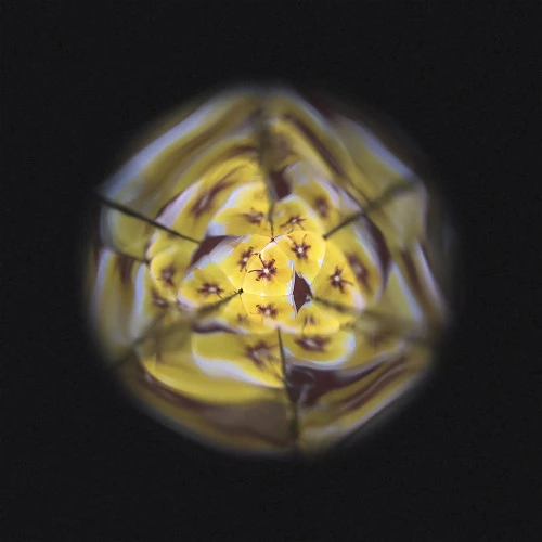 Janod | Bloem Kaleidoscoop - Afbeelding 10